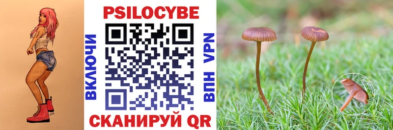 хочу   Новая Ладога  Галлюциногенные грибы прущие грибы 